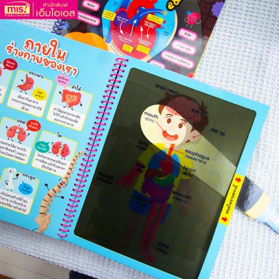 หนังสือส่องไฟฉาย ร่างกายของหนู