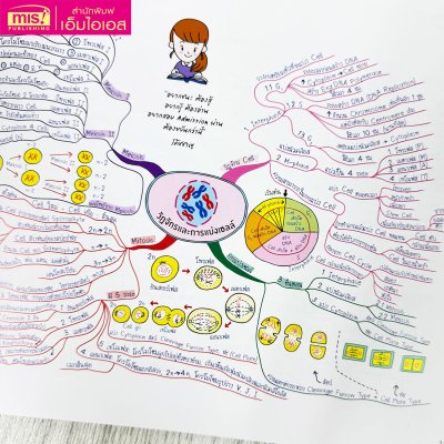Ent Maps ชีววิทยา