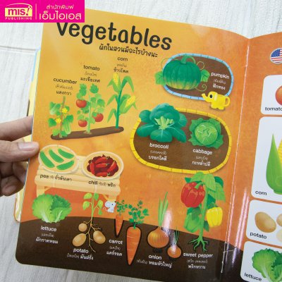 [ SOUND BOOK ] First Picture Dictionary for Kids
