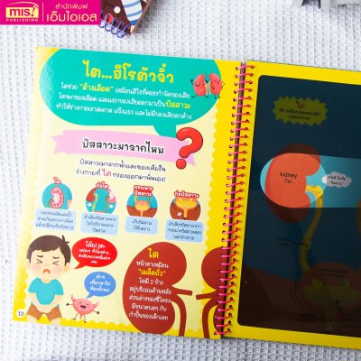 หนังสือส่องไฟฉาย ร่างกายของหนู