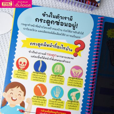 หนังสือส่องไฟฉาย ร่างกายของหนู