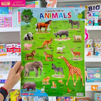 โปสเตอร์พลาสติก Animals