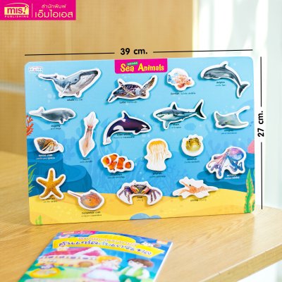 หนังสือนิทาน พร้อมกระดานดึงออก-แปะติด ตีนตุ๊กแก Pull & Stick ภาพจริงและสัตว์ตาแป๋ว