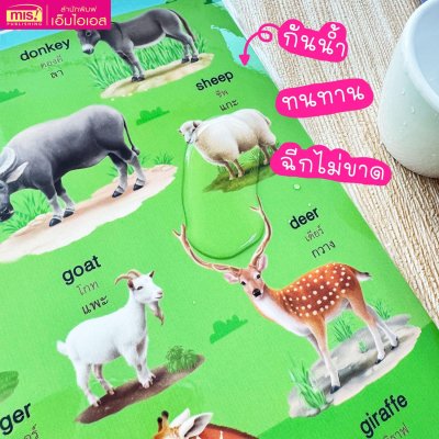 โปสเตอร์พลาสติก Animals