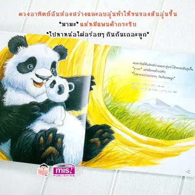 ความสุขของแพนด้าน้อย