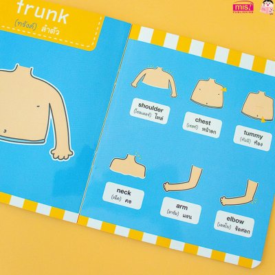 ศัพท์อังกฤษเล่มแรกของหนูน้อย : body