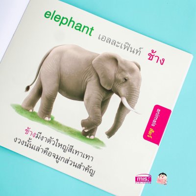 หนูชอบสัตว์น่ารัก I like cute animals.