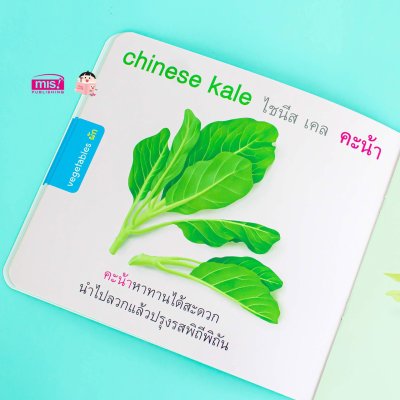 หนูชอบกินผัก I like to eat vegetables.