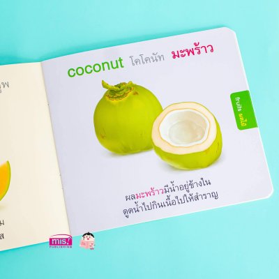 หนูชอบกินผลไม้ I like to eat fruits.