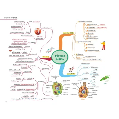 Science Map สรุปเนื้อหาวิทยาศาสตร์ ระดับประถมปลาย