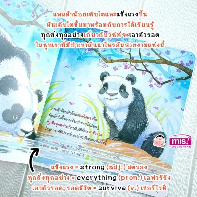 ความสุขของแพนด้าน้อย