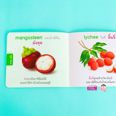 หนูชอบกินผลไม้ I like to eat fruits.