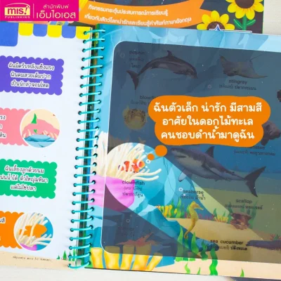 ส่องไฟฉาย ท่องโลกกว้าง 100 First Animals หาเพื่อนของฉันเจอไหม?