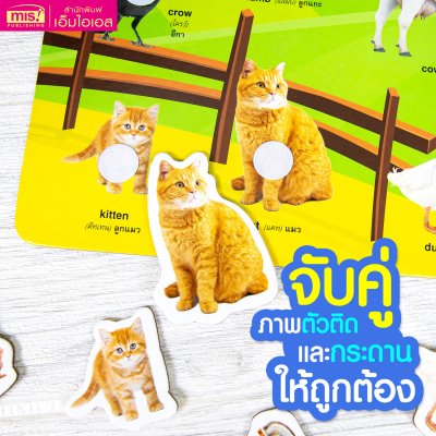 หนังสือนิทาน พร้อมกระดานดึงออก-แปะติด ตีนตุ๊กแก Pull & Stick ภาพจริงและสัตว์ตาแป๋ว