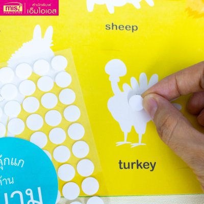 หนังสือ Pull & Stick Shadow Matching ตีนตุ๊กแก ภาพเงา มีให้เลือก 2 ชุด