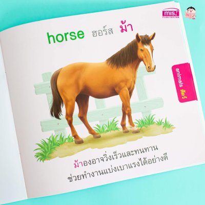 หนูชอบสัตว์น่ารัก I like cute animals.