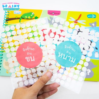 หนังสือ Pull & Stick Shadow Matching ตีนตุ๊กแก ภาพเงา มีให้เลือก 2 ชุด