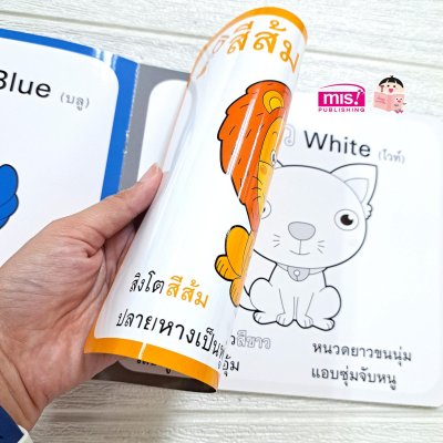 สอนลูกน้อยเรียนรู้สี