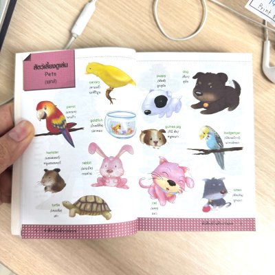 คำศัพท์ ระดับประถม อังกฤษ-ไทย