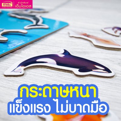 หนังสือนิทาน พร้อมกระดานดึงออก-แปะติด ตีนตุ๊กแก Pull & Stick ภาพจริงและสัตว์ตาแป๋ว