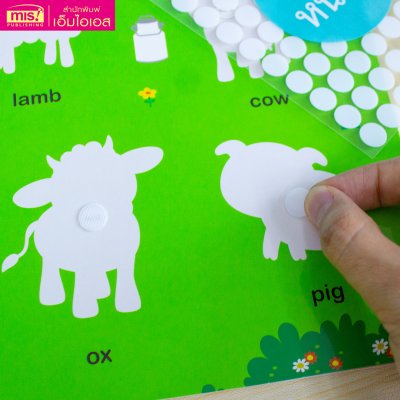 หนังสือ Pull & Stick Shadow Matching ตีนตุ๊กแก ภาพเงา มีให้เลือก 2 ชุด