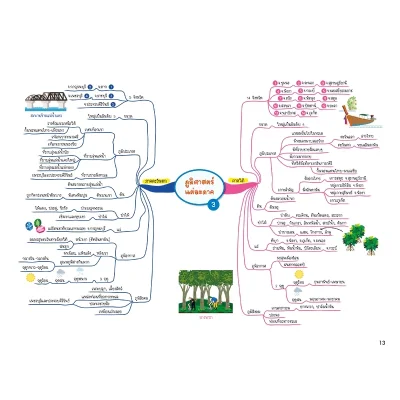 Social Studies Map สรุปเนื้อหาสังคม ระดับประถมปลาย