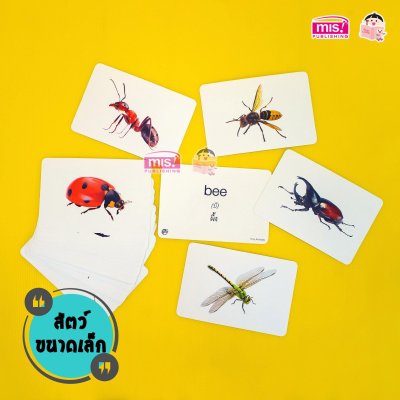 First Words Flash Cards การ์ดคำศัพท์ 5 หมวด กล่องม่วง Level 2 (ใช้ร่วมกับ TalkingPen ได้)
