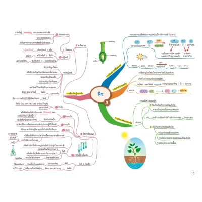 Science Map สรุปเนื้อหาวิทยาศาสตร์ ระดับประถมปลาย