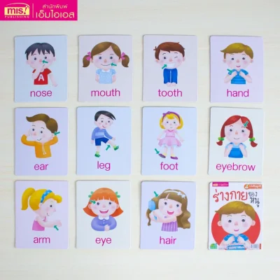 การ์ดบอร์ดบุ๊ค : ร่างกายของหนู