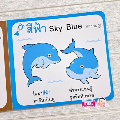 สอนลูกน้อยเรียนรู้สี