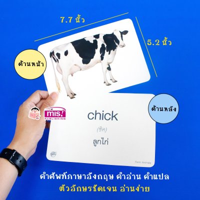 First Words Flash Cards การ์ดคำศัพท์ 5 หมวด (ใช้ร่วมกับ TalkingPen ได้)
