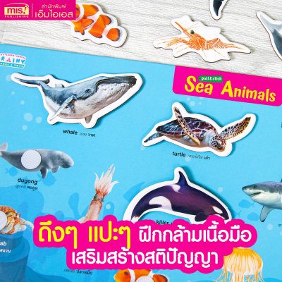 หนังสือนิทาน พร้อมกระดานดึงออก-แปะติด ตีนตุ๊กแก Pull & Stick ภาพจริงและสัตว์ตาแป๋ว