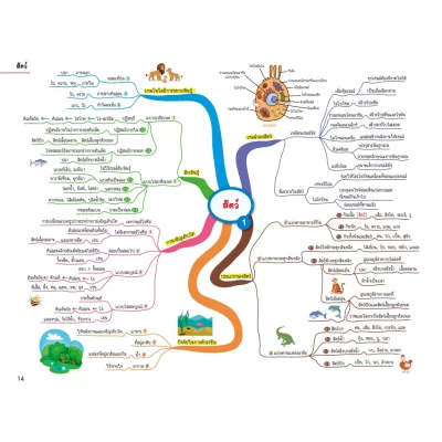 Science Map สรุปเนื้อหาวิทยาศาสตร์ ระดับประถมปลาย
