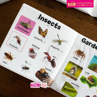 หนังสือลอยน้ำ Bath Book  เสริมพัฒนาการลูกน้อย