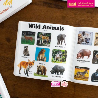 หนังสือลอยน้ำ Bath Book  เสริมพัฒนาการลูกน้อย