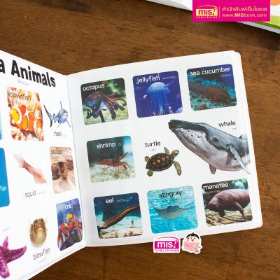 หนังสือลอยน้ำ Bath Book  เสริมพัฒนาการลูกน้อย