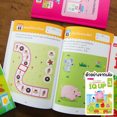 หนังสือ IQ UP เพิ่มเชาวน์ปัญญา พัฒนาสมองซีกซ้ายและขวา