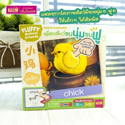 แฟลชการ์ดเพื่อนสัตว์ขนนุ่มขนฟู ภาพสัตว์มีขนสัตว์ทุกแผ่น พร้อมคำศัพท์ 3 ภาษา ฝึกเขียนได้ (15 แผ่น) สำหรับอายุ 0+