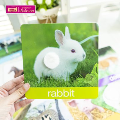 แฟลชการ์ดเพื่อนสัตว์ขนนุ่มขนฟู ภาพสัตว์มีขนสัตว์ทุกแผ่น พร้อมคำศัพท์ 3 ภาษา ฝึกเขียนได้ (15 แผ่น) สำหรับอายุ 0+