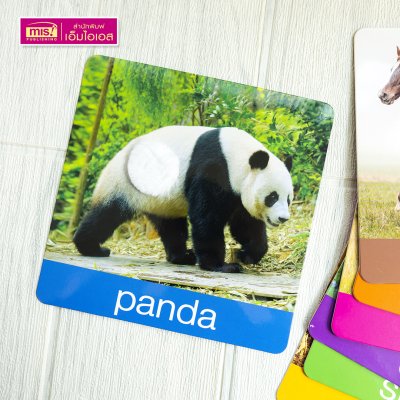 แฟลชการ์ดเพื่อนสัตว์ขนนุ่มขนฟู ภาพสัตว์มีขนสัตว์ทุกแผ่น พร้อมคำศัพท์ 3 ภาษา ฝึกเขียนได้ (15 แผ่น) สำหรับอายุ 0+