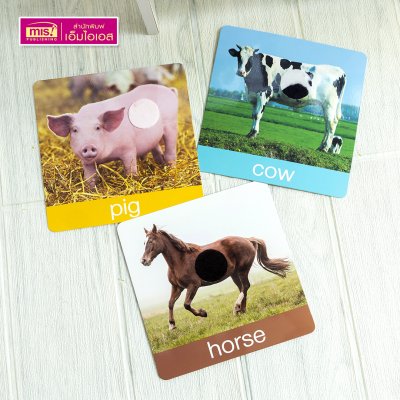 แฟลชการ์ดเพื่อนสัตว์ขนนุ่มขนฟู ภาพสัตว์มีขนสัตว์ทุกแผ่น พร้อมคำศัพท์ 3 ภาษา ฝึกเขียนได้ (15 แผ่น) สำหรับอายุ 0+