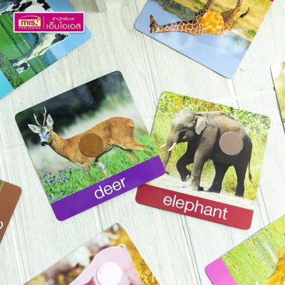 แฟลชการ์ดเพื่อนสัตว์ขนนุ่มขนฟู ภาพสัตว์มีขนสัตว์ทุกแผ่น พร้อมคำศัพท์ 3 ภาษา ฝึกเขียนได้ (15 แผ่น) สำหรับอายุ 0+