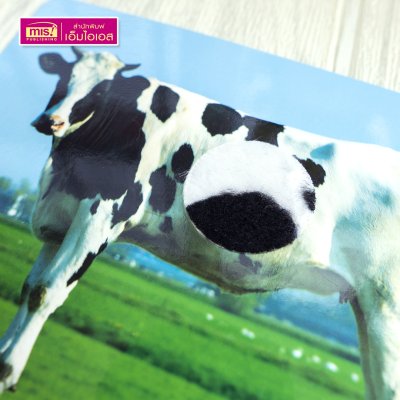 แฟลชการ์ดเพื่อนสัตว์ขนนุ่มขนฟู ภาพสัตว์มีขนสัตว์ทุกแผ่น พร้อมคำศัพท์ 3 ภาษา ฝึกเขียนได้ (15 แผ่น) สำหรับอายุ 0+