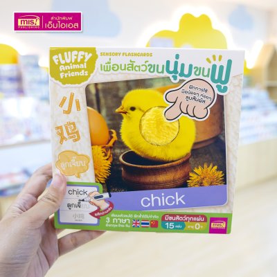 แฟลชการ์ดเพื่อนสัตว์ขนนุ่มขนฟู ภาพสัตว์มีขนสัตว์ทุกแผ่น พร้อมคำศัพท์ 3 ภาษา ฝึกเขียนได้ (15 แผ่น) สำหรับอายุ 0+