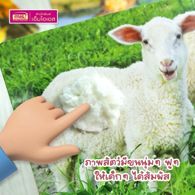 แฟลชการ์ดเพื่อนสัตว์ขนนุ่มขนฟู ภาพสัตว์มีขนสัตว์ทุกแผ่น พร้อมคำศัพท์ 3 ภาษา ฝึกเขียนได้ (15 แผ่น) สำหรับอายุ 0+