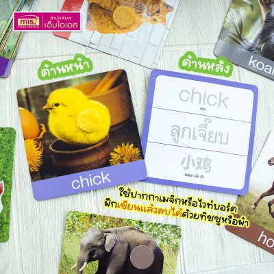 แฟลชการ์ดเพื่อนสัตว์ขนนุ่มขนฟู ภาพสัตว์มีขนสัตว์ทุกแผ่น พร้อมคำศัพท์ 3 ภาษา ฝึกเขียนได้ (15 แผ่น) สำหรับอายุ 0+