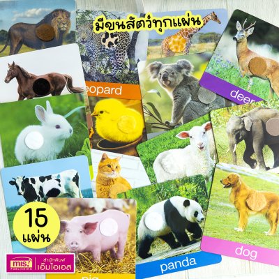 แฟลชการ์ดเพื่อนสัตว์ขนนุ่มขนฟู ภาพสัตว์มีขนสัตว์ทุกแผ่น พร้อมคำศัพท์ 3 ภาษา ฝึกเขียนได้ (15 แผ่น) สำหรับอายุ 0+