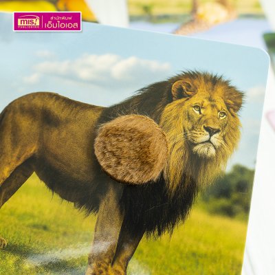 แฟลชการ์ดเพื่อนสัตว์ขนนุ่มขนฟู ภาพสัตว์มีขนสัตว์ทุกแผ่น พร้อมคำศัพท์ 3 ภาษา ฝึกเขียนได้ (15 แผ่น) สำหรับอายุ 0+