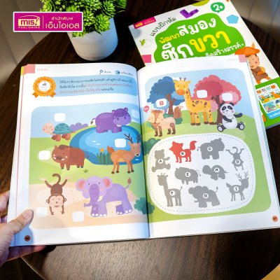 หนังสือแบบฝึกหัดพัฒนาสมองซีกซ้ายและซีกขวา (ซื้อแยกเล่มได้) รวมกว่า 120 แบบฝึกหัด สำหรับเด็กอายุ 2-6 ปี