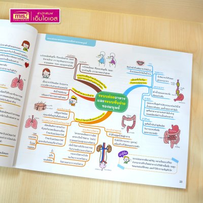 หนังสือ Mind Map สรุปเข้ม 5 วิชา สอบเข้า ม.1 โรงเรียนชื่อดัง